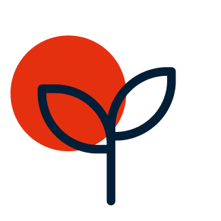 Icon seedling